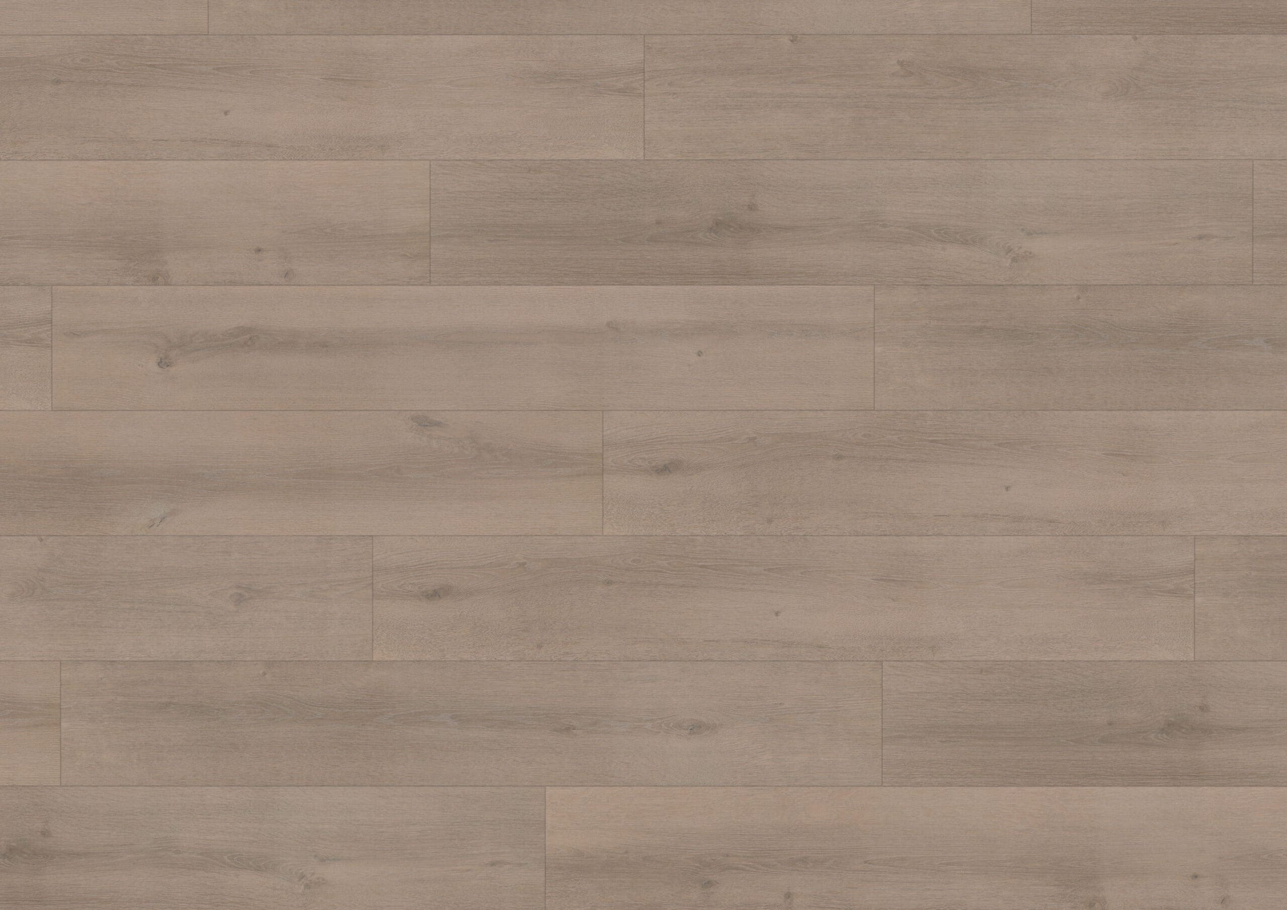 Elite Classic Charlotte 6037 Hoomline Aquaprotect Laminaat Elite Classic V4 Charlotte - Afbeelding 1