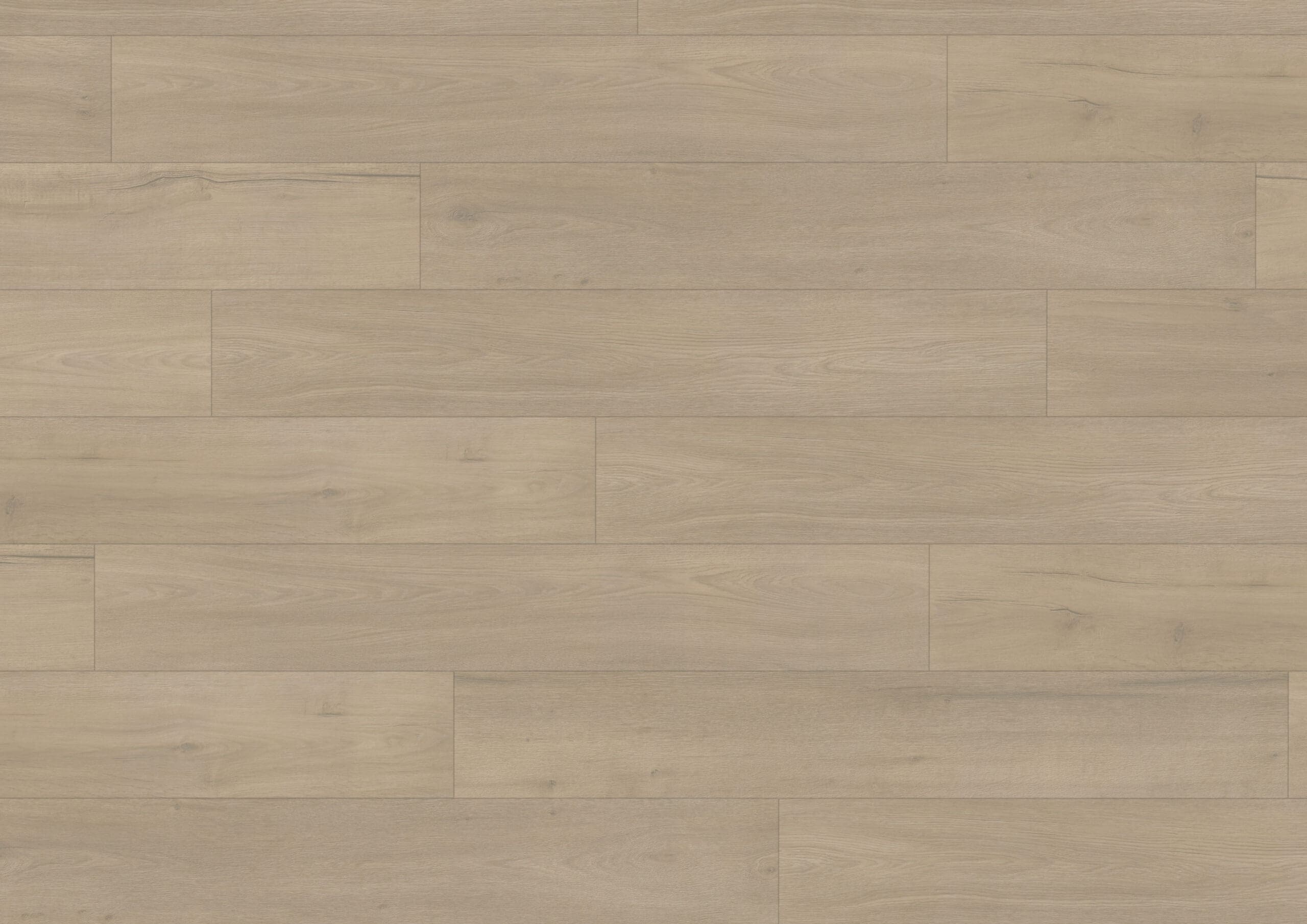 Elite Classic Emma 6063 Hoomline Aquaprotect Laminaat Elite Classic V4 Emma - Afbeelding 1