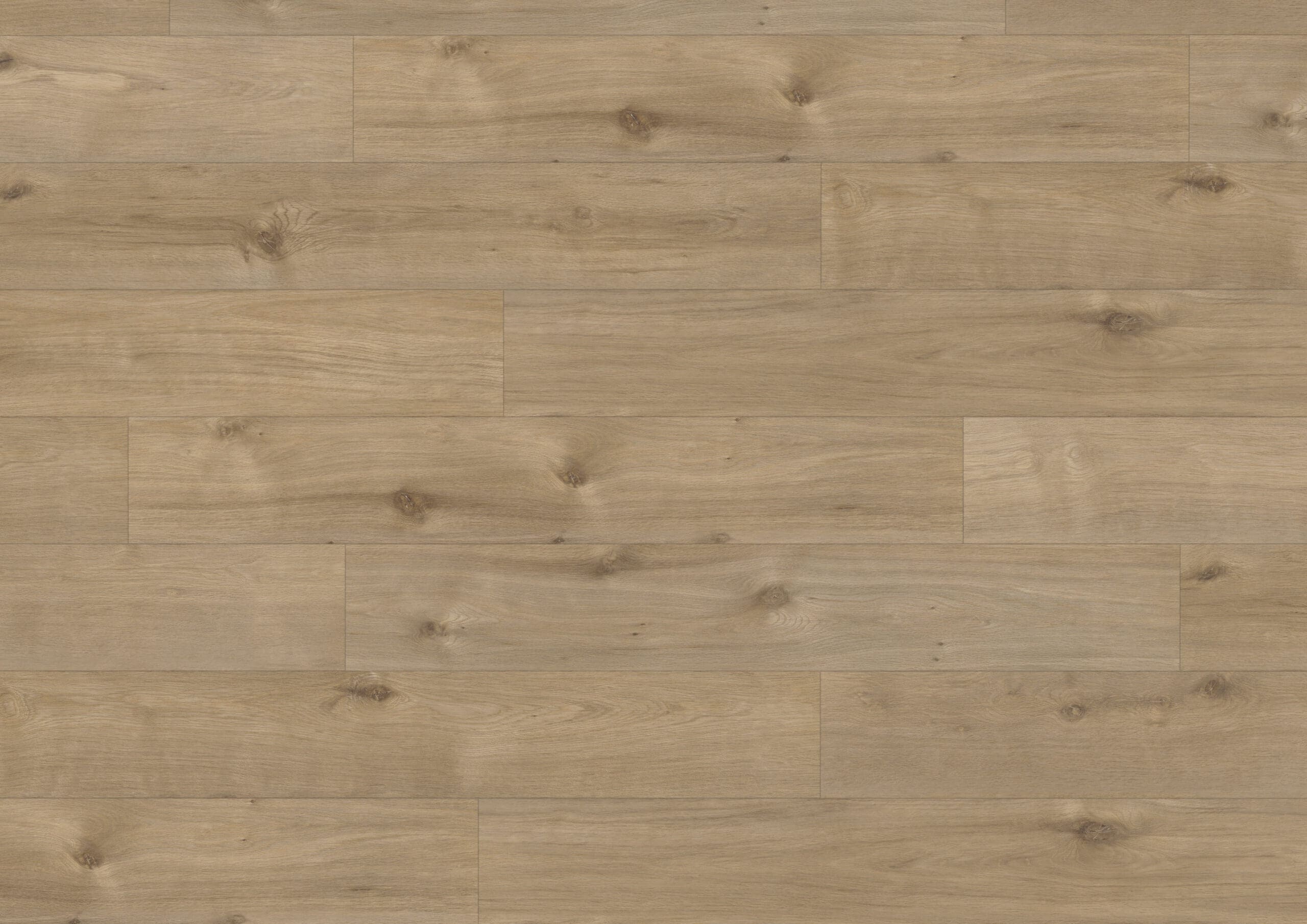 Elite Classic Valerie 60969 Hoomline Aquaprotect Laminaat Elite Classic V4 Valerie - Afbeelding 1