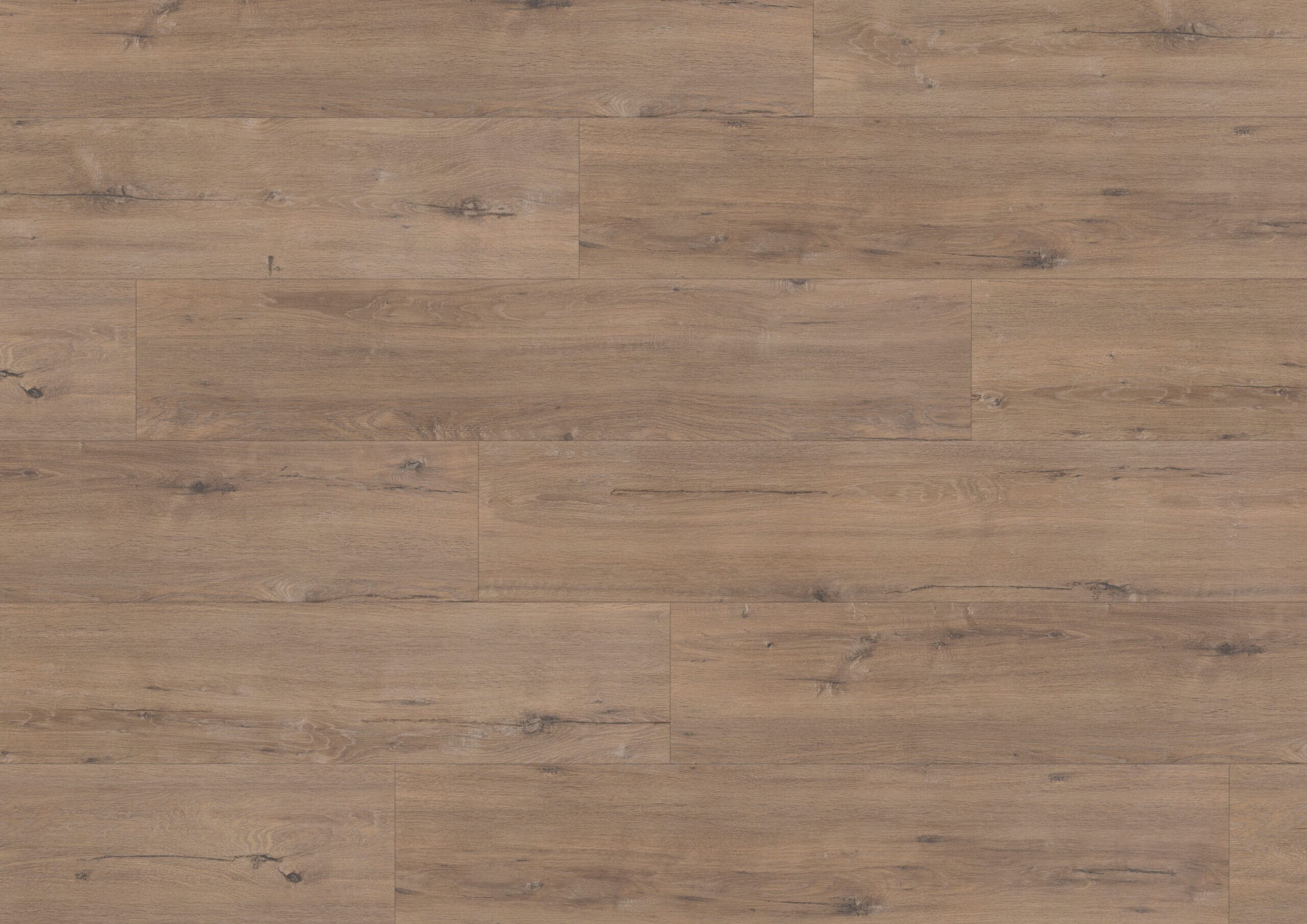 Elite XL Schelde 60902 Hoomline Aquaprotect Laminaat Elite XL V4 Schelde - Afbeelding 1