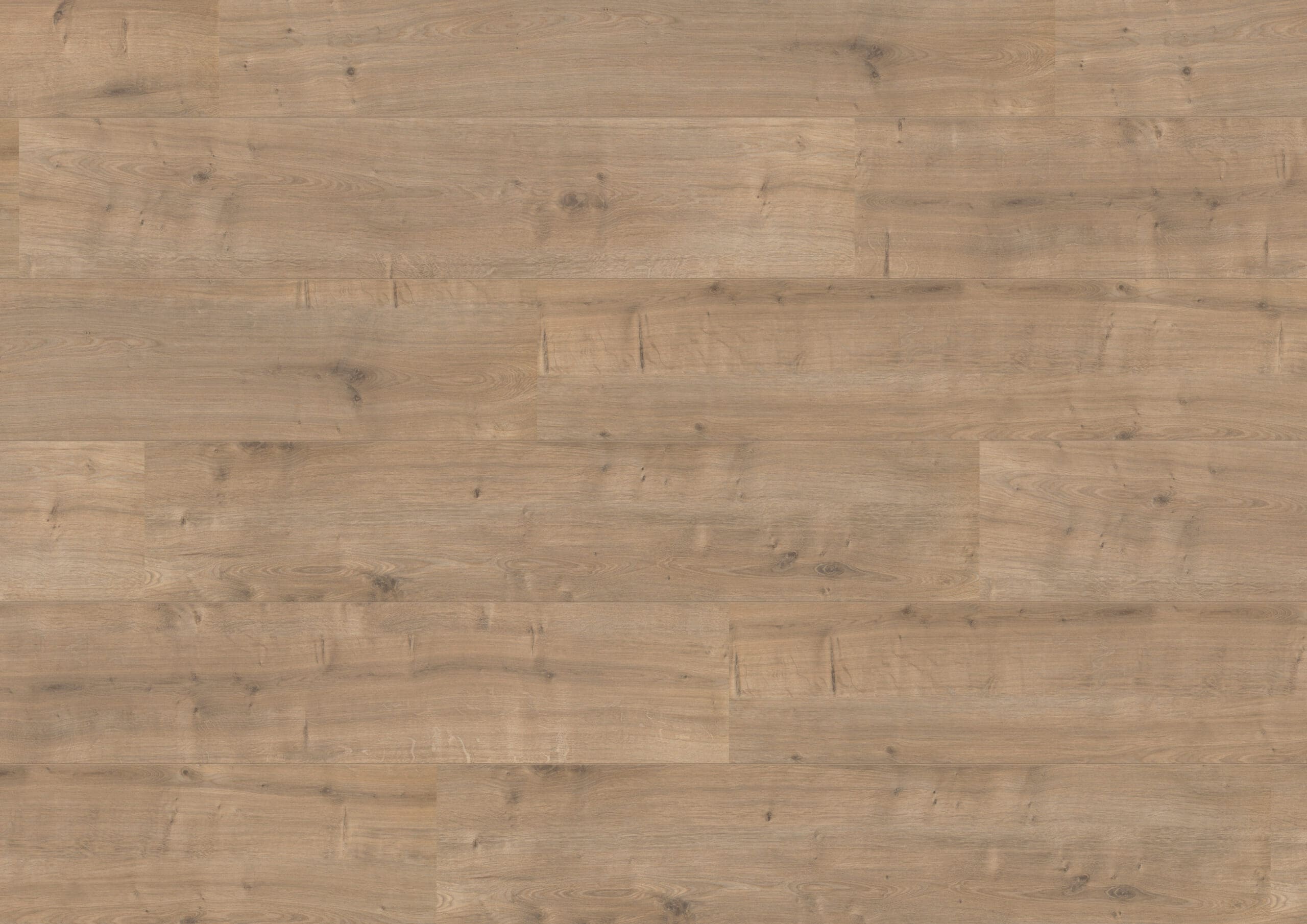 Hoomline Royal XL Annapurna 946 Hoomline Laminaat Royal XL V2 Annapurna - Afbeelding 1